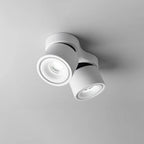 Modern Adjustable Metal Ceiling Light