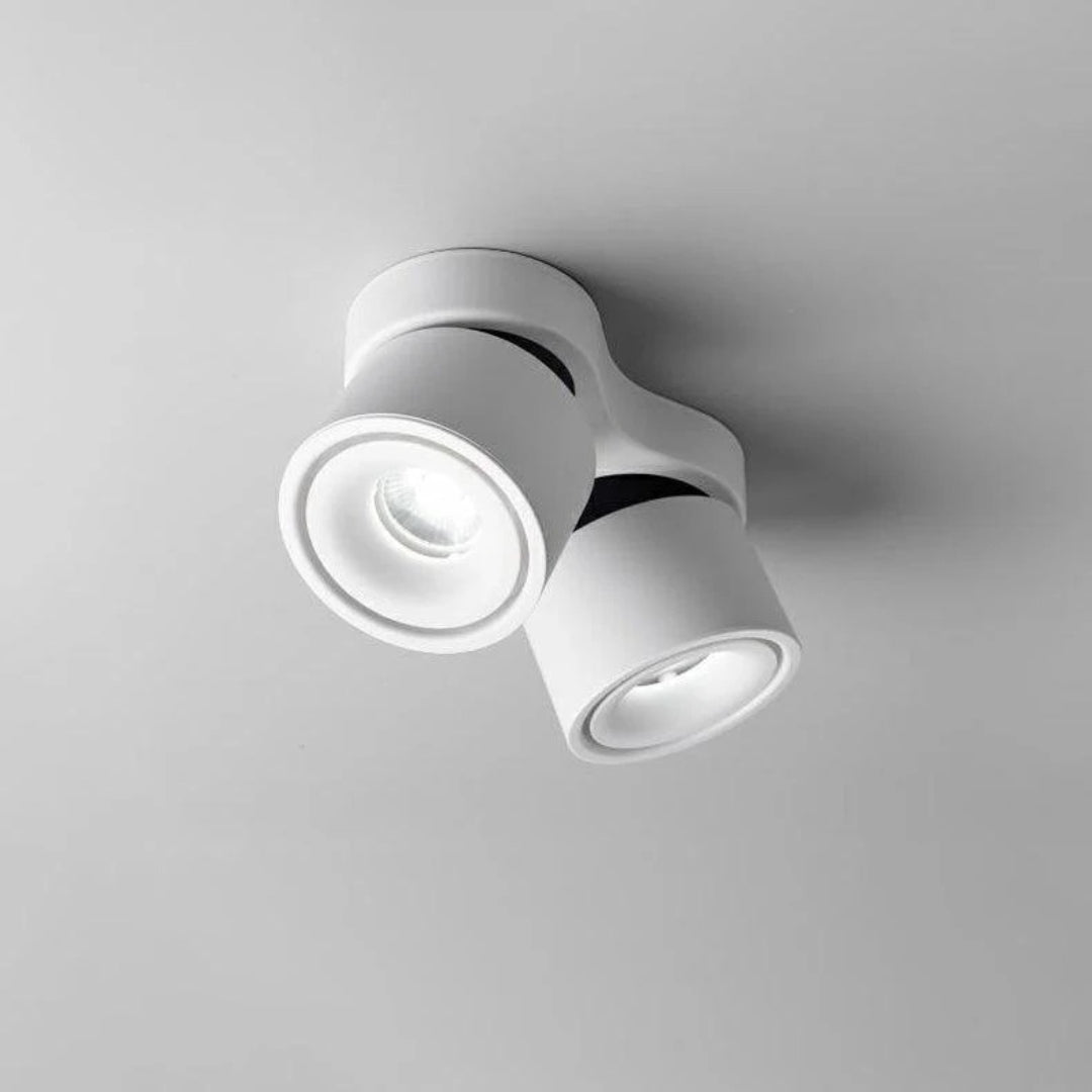Modern Adjustable Metal Ceiling Light