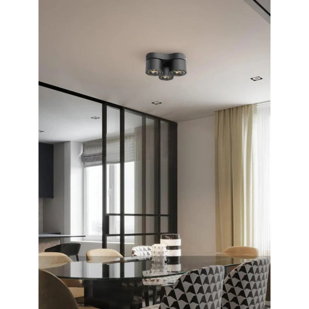 Modern Adjustable Metal Ceiling Light