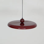 Adjustable Metal Pendant Light
