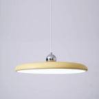 Adjustable Metal Pendant Light