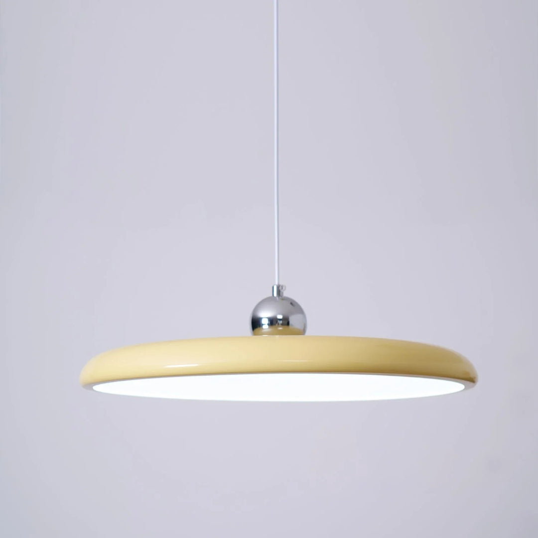 Adjustable Metal Pendant Light