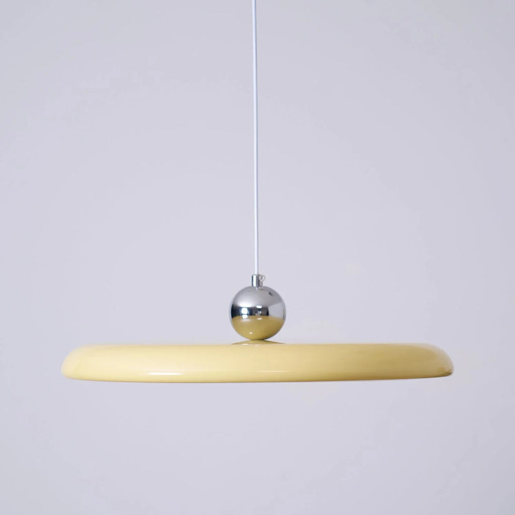 Adjustable Metal Pendant Light
