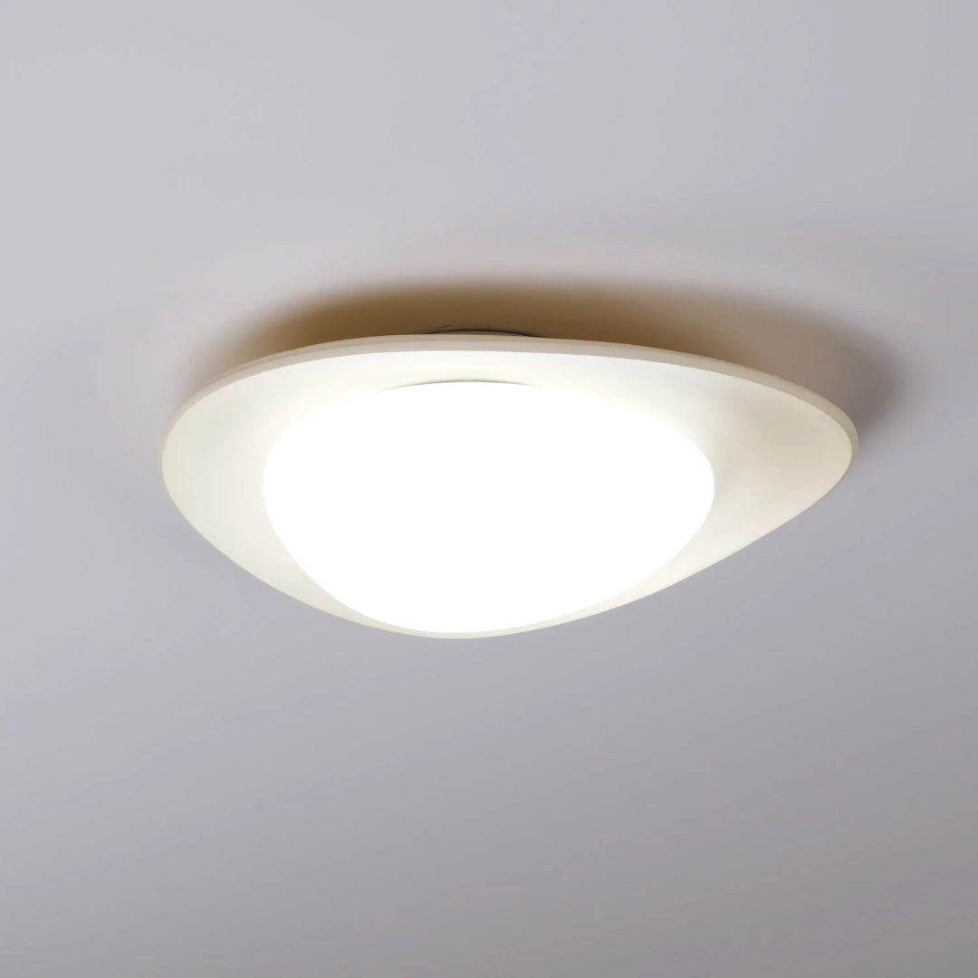 Contemporary Leaf-Shaped LED Ceiling Light