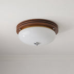 Flush Mount Ceiling Light Glass Metal Integrated LED | Three Color Temperatures | 36W Hardwired Indoor Lighting Fixture