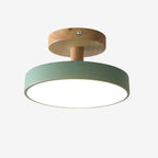 Green Ceiling Lamp – Modern Minimalist Design With Wood And Gold Accents