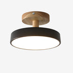 Green Ceiling Lamp – Modern Minimalist Design With Wood And Gold Accents