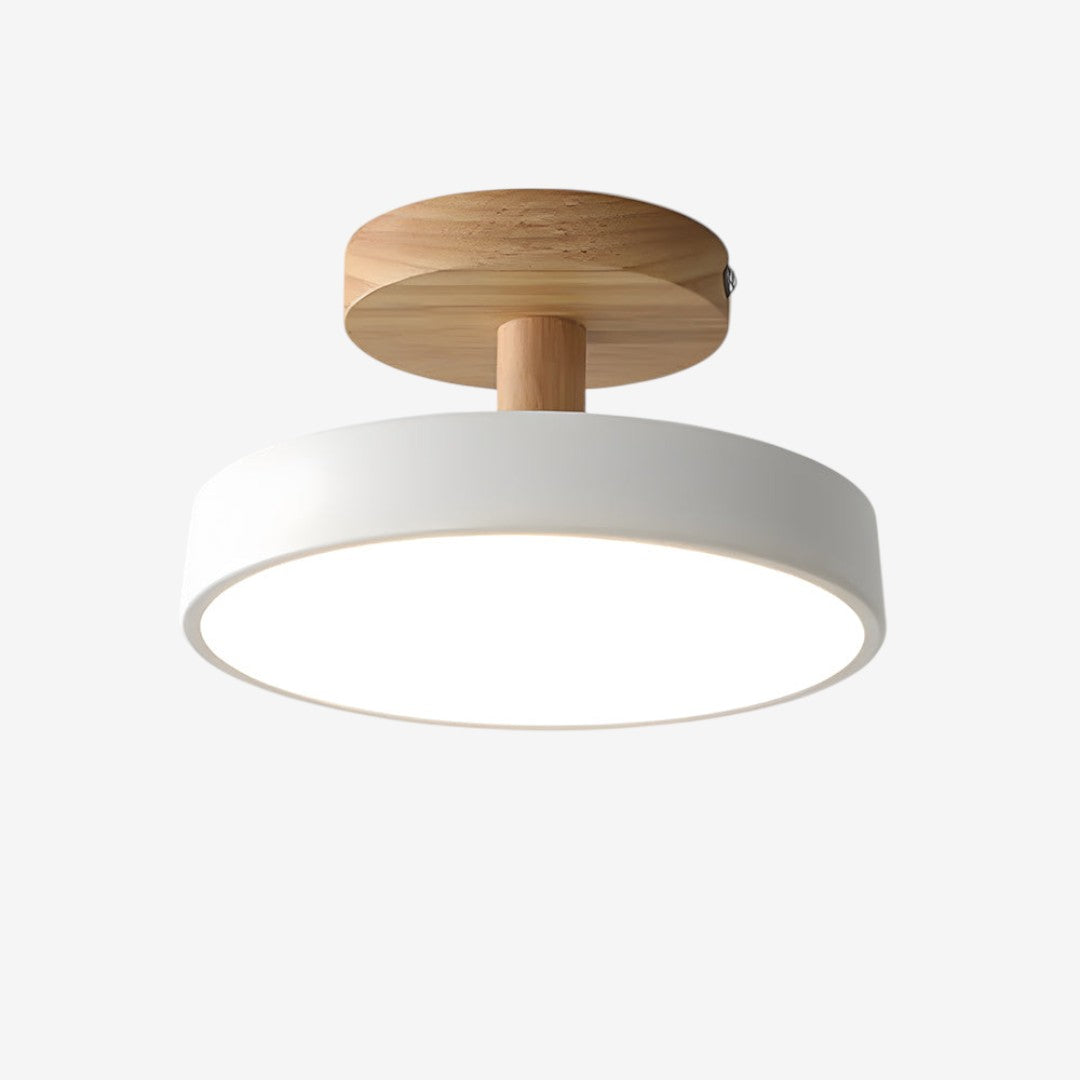 Green Ceiling Lamp – Modern Minimalist Design With Wood And Gold Accents