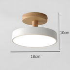 Green Ceiling Lamp – Modern Minimalist Design With Wood And Gold Accents