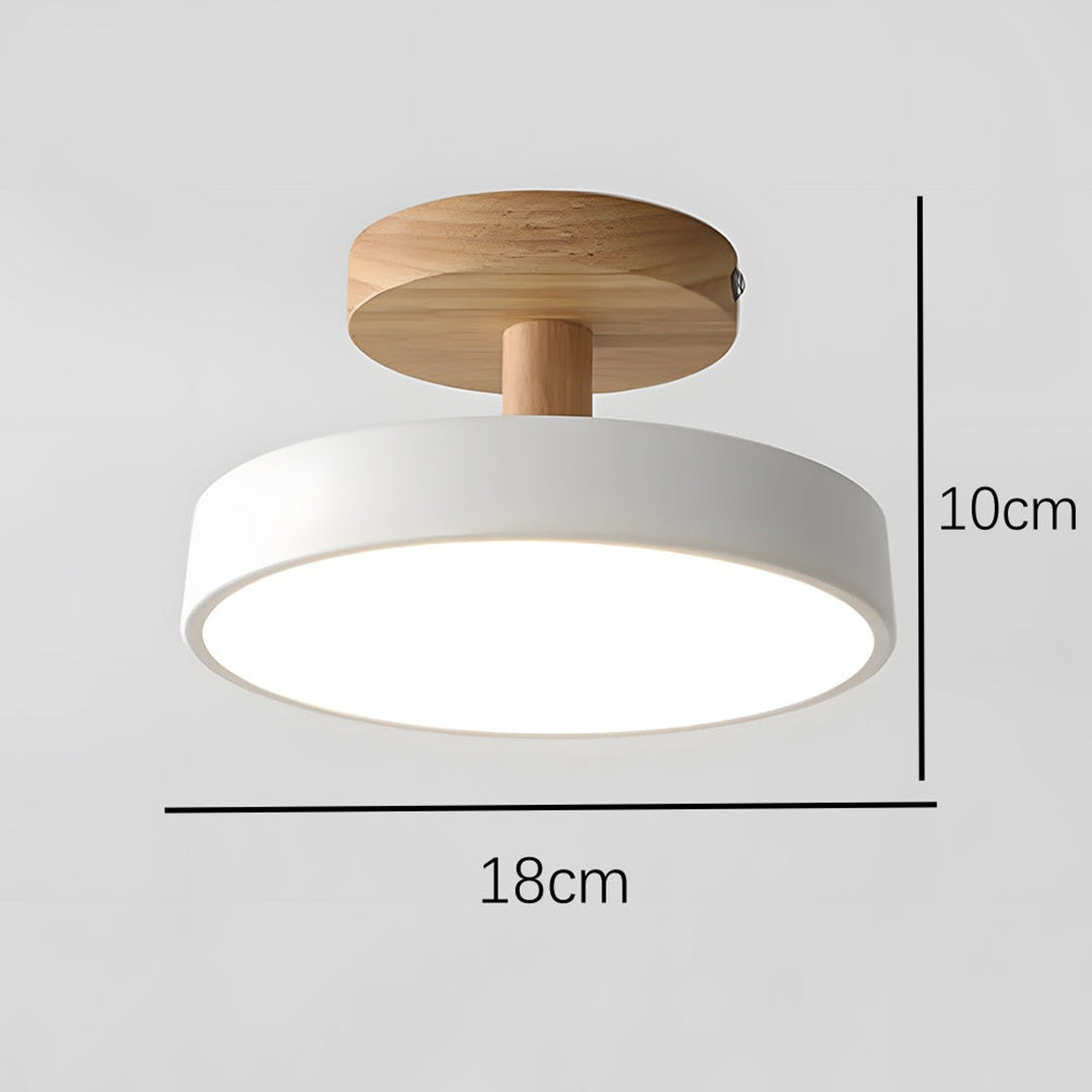 Green Ceiling Lamp – Modern Minimalist Design With Wood And Gold Accents