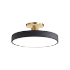 Modern Metal LED Ceiling Light