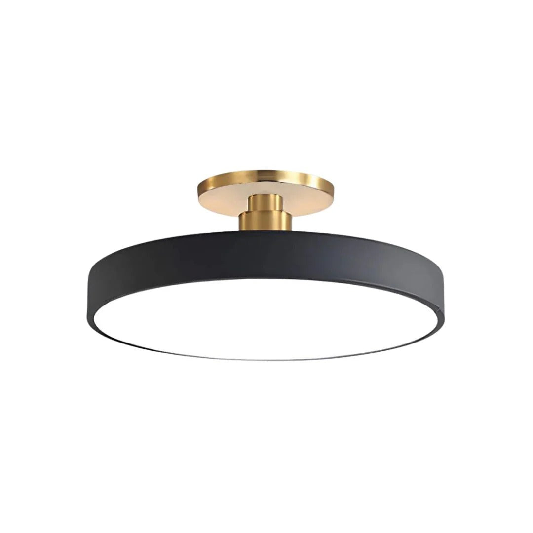 Modern Metal LED Ceiling Light