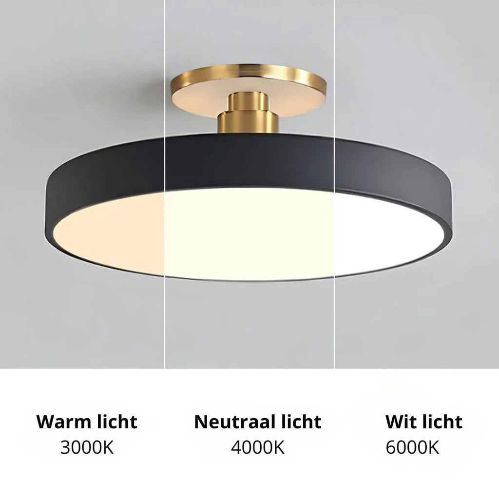 Modern Metal LED Ceiling Light