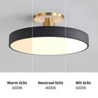 Modern Metal LED Ceiling Light