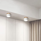 Wood And Metal Ceiling Lamp – Small Cylindrical Modern Accent Design
