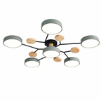 Modern Iron LED Ceiling Light