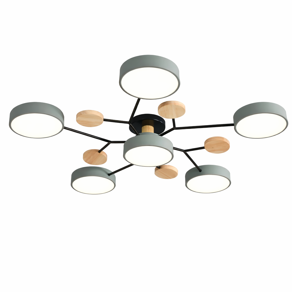 Modern Iron LED Ceiling Light