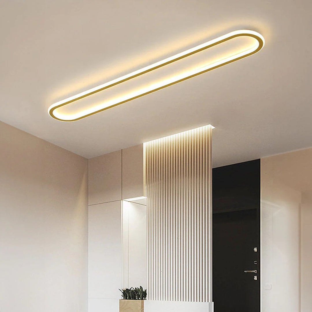 Modern Oval LED Ceiling Light