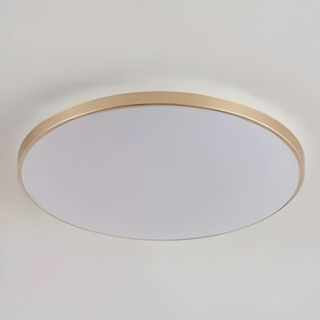 Round Flush Mount Ceiling Light Iron and Acrylic | Contemporary Interior Style | Bright Integrated LED Illumination Lamp