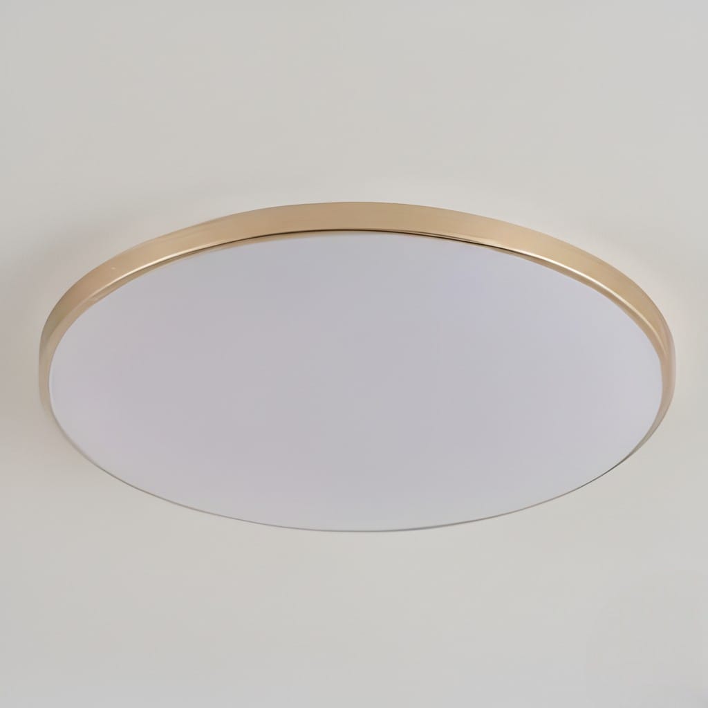 Round Flush Mount Ceiling Light Iron and Acrylic | Contemporary Interior Style | Bright Integrated LED Illumination Lamp