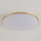 Round Flush Mount Ceiling Light Iron and Acrylic | Contemporary Interior Style | Bright Integrated LED Illumination Lamp