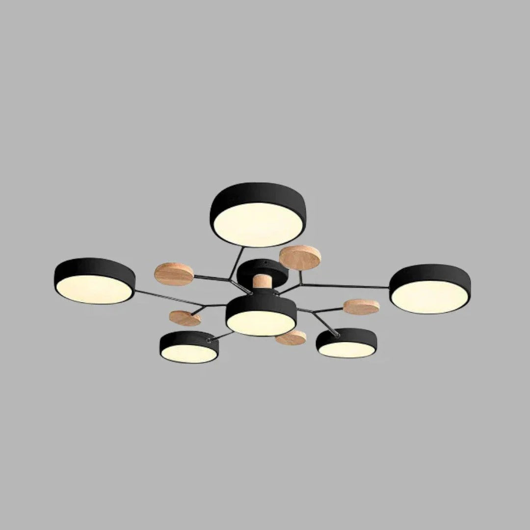Modern Iron LED Ceiling Light