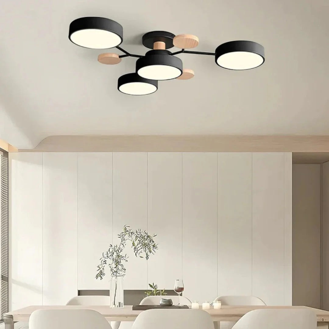 Modern Iron LED Ceiling Light