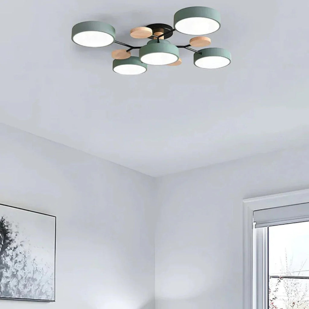 Modern Iron LED Ceiling Light