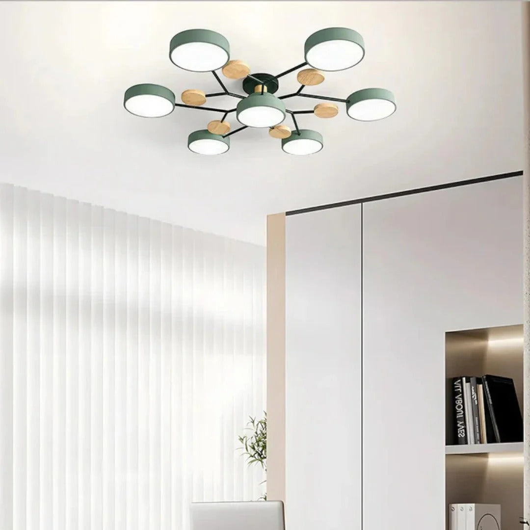 Modern Iron LED Ceiling Light
