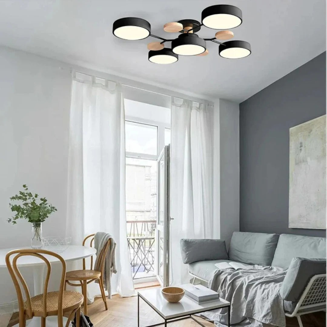 Modern Iron LED Ceiling Light