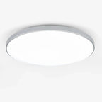Minimalist LED Ceiling Light