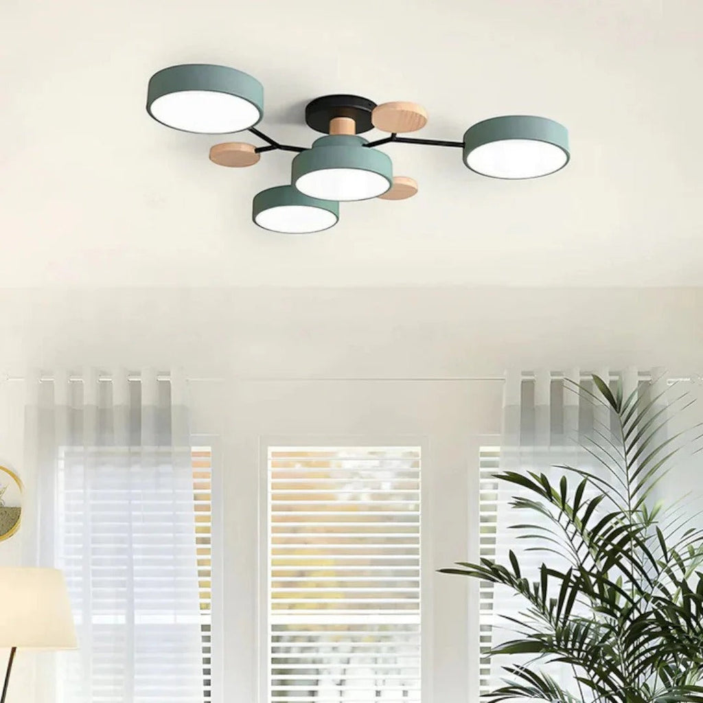 Modern Iron LED Ceiling Light