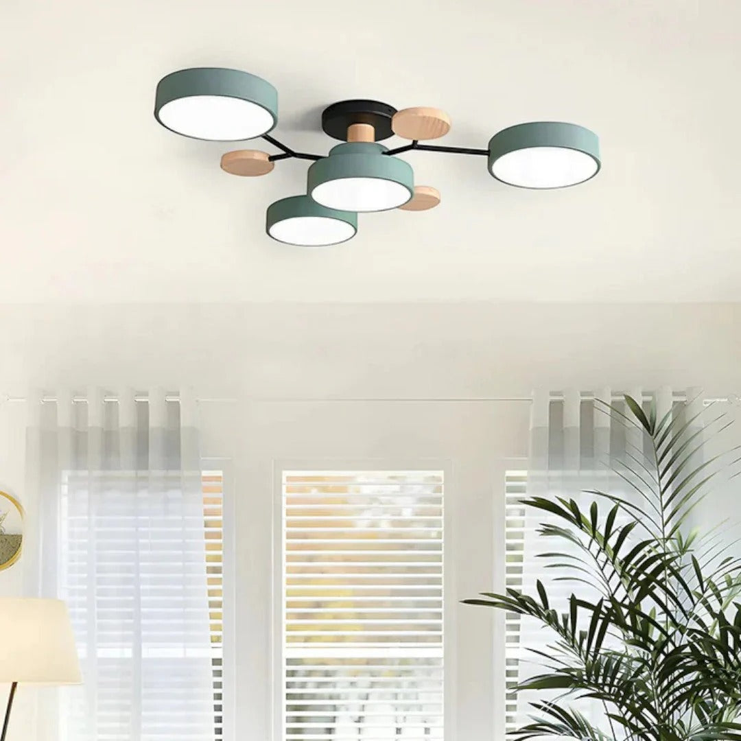 Modern Iron LED Ceiling Light