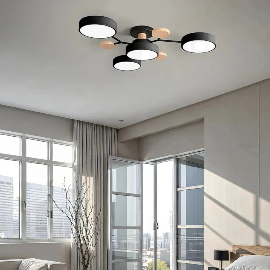 Modern Iron LED Ceiling Light
