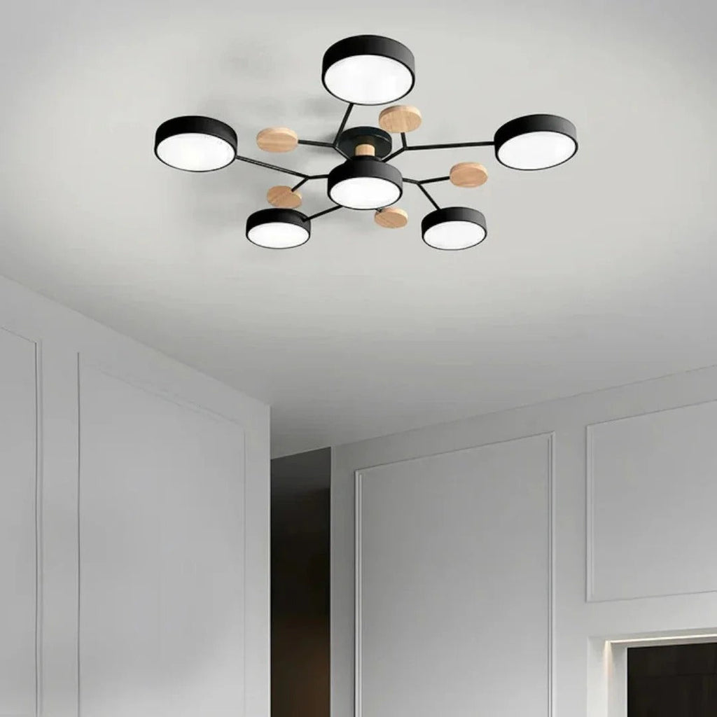 Modern Iron LED Ceiling Light