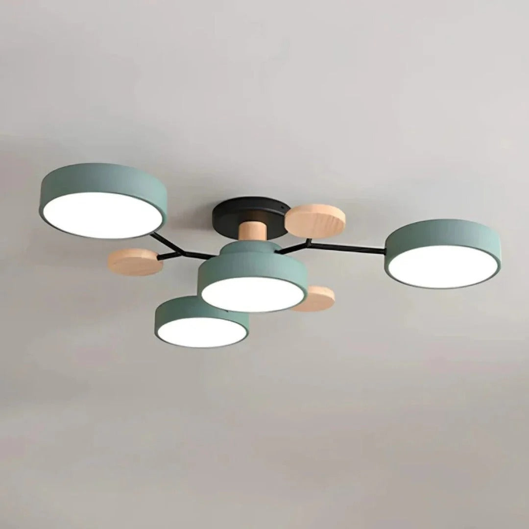 Modern Iron LED Ceiling Light