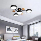Modern Iron LED Ceiling Light