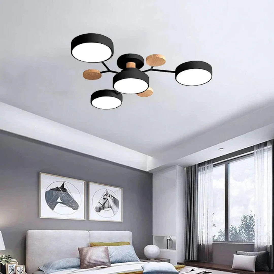 Modern Iron LED Ceiling Light