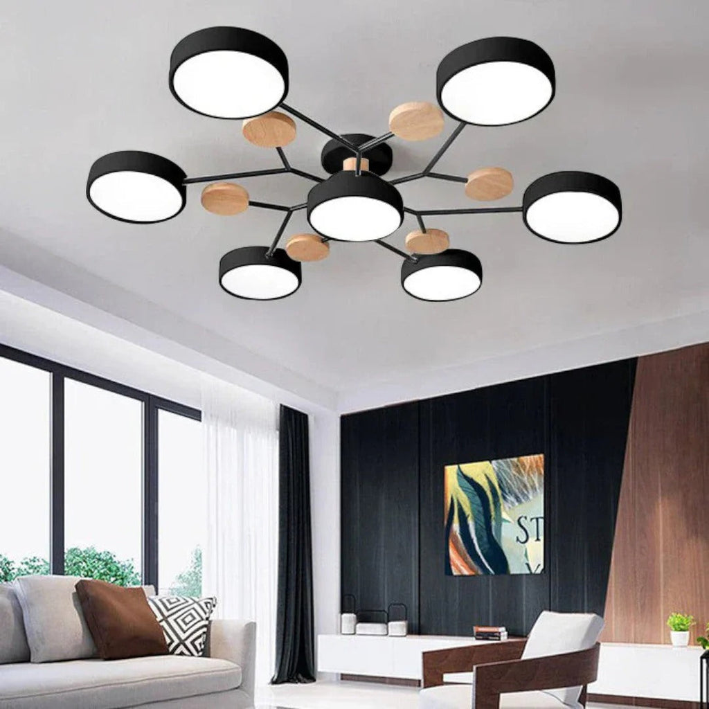 Modern Iron LED Ceiling Light