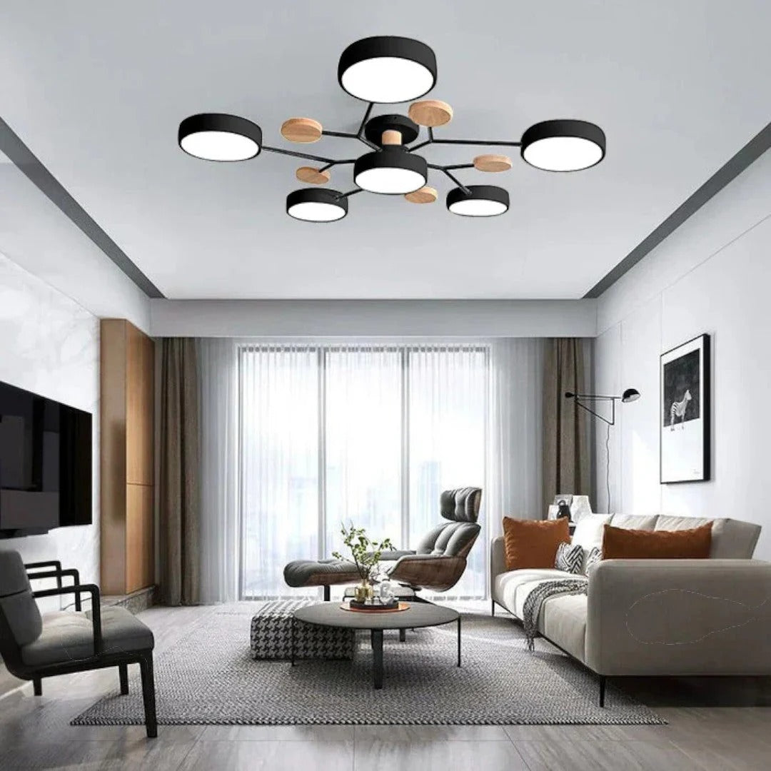 Modern Iron LED Ceiling Light