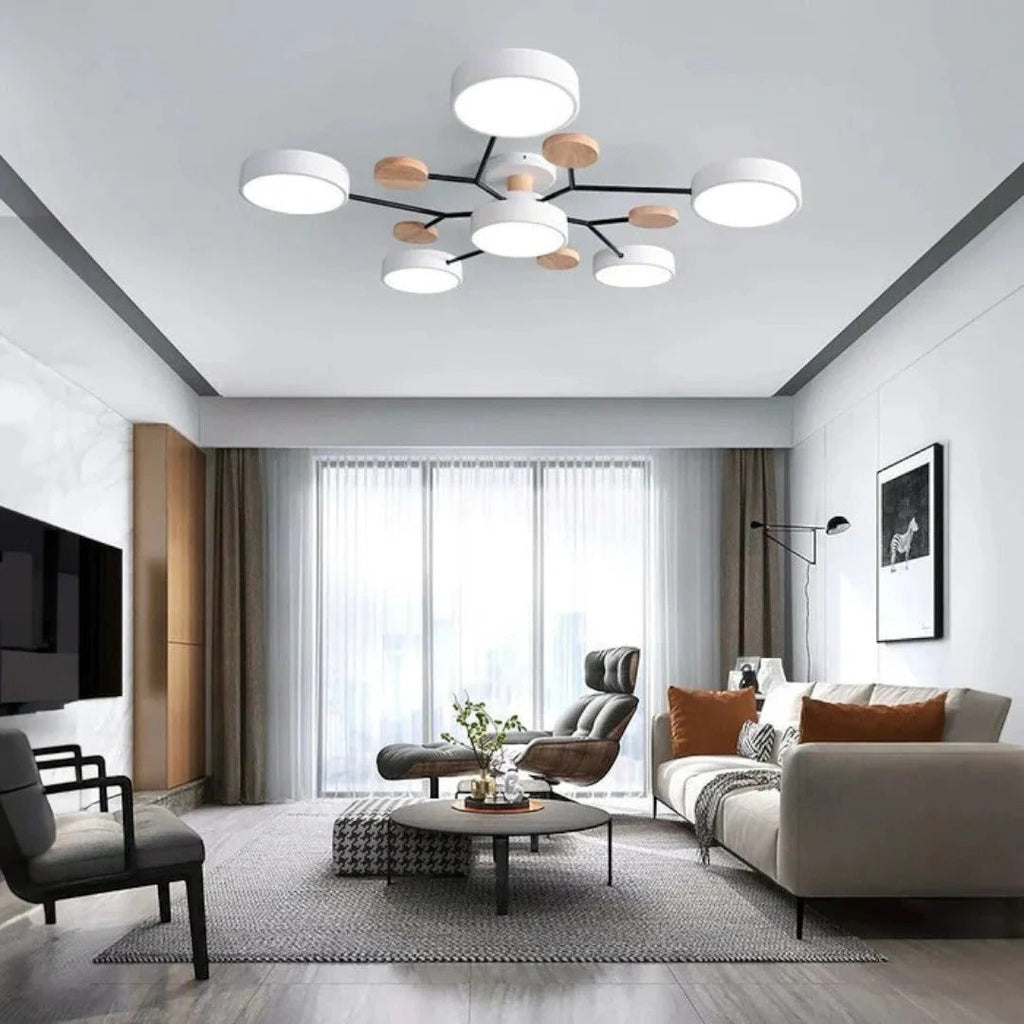 Modern Iron LED Ceiling Light