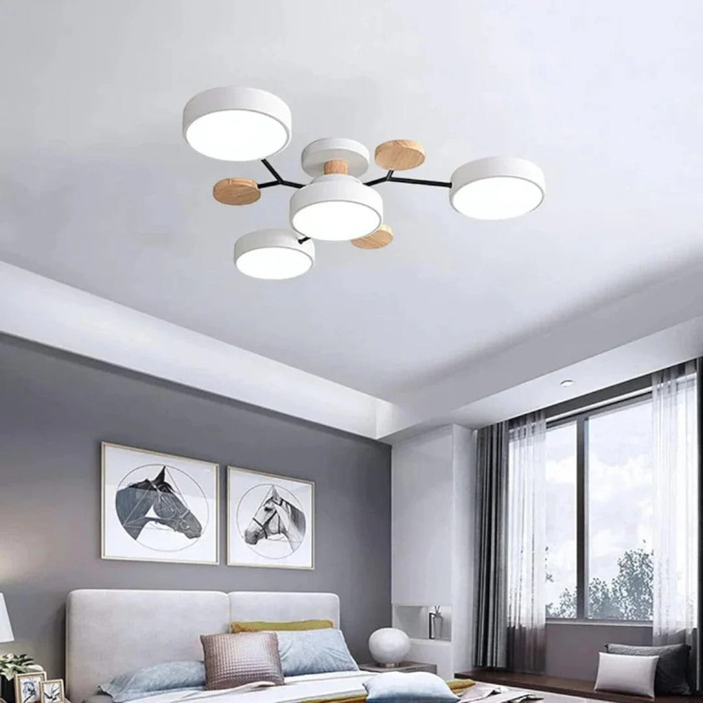Modern Iron LED Ceiling Light