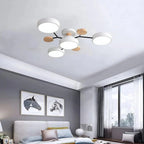 Modern Iron LED Ceiling Light