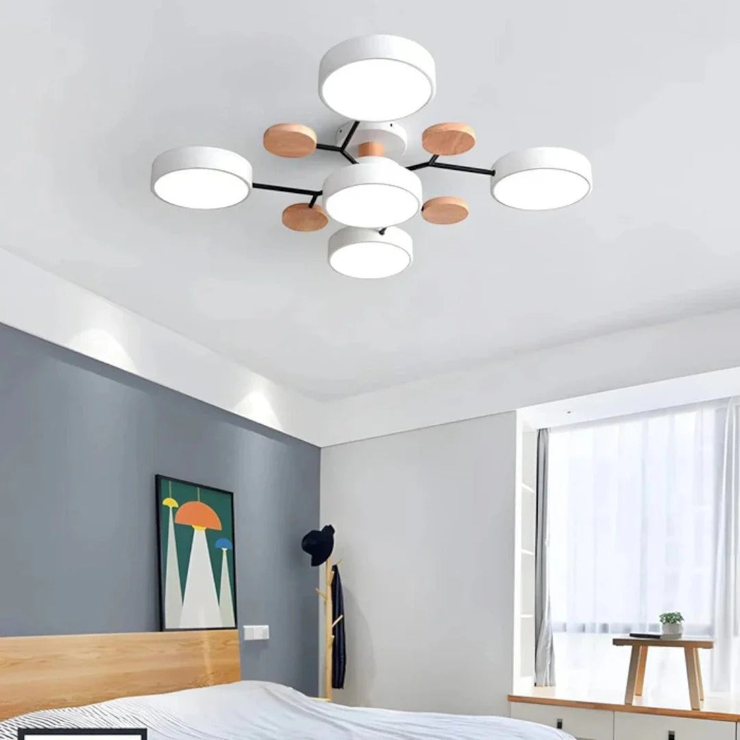 Modern Iron LED Ceiling Light