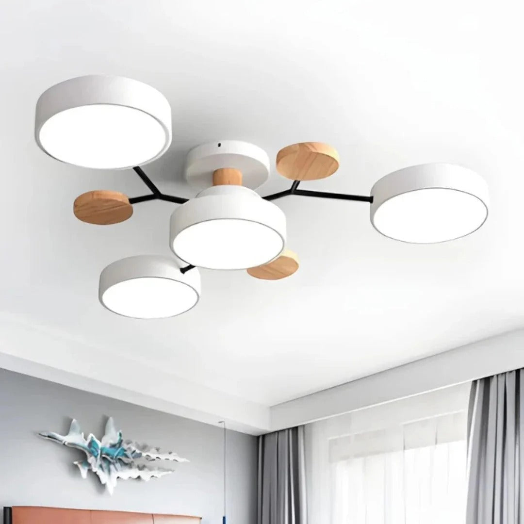 Modern Iron LED Ceiling Light