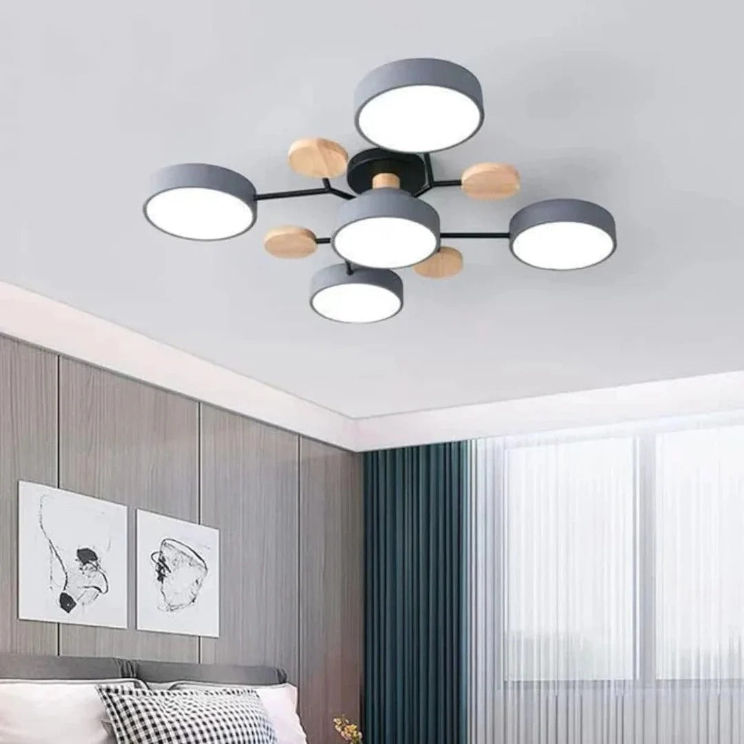 Modern Iron LED Ceiling Light