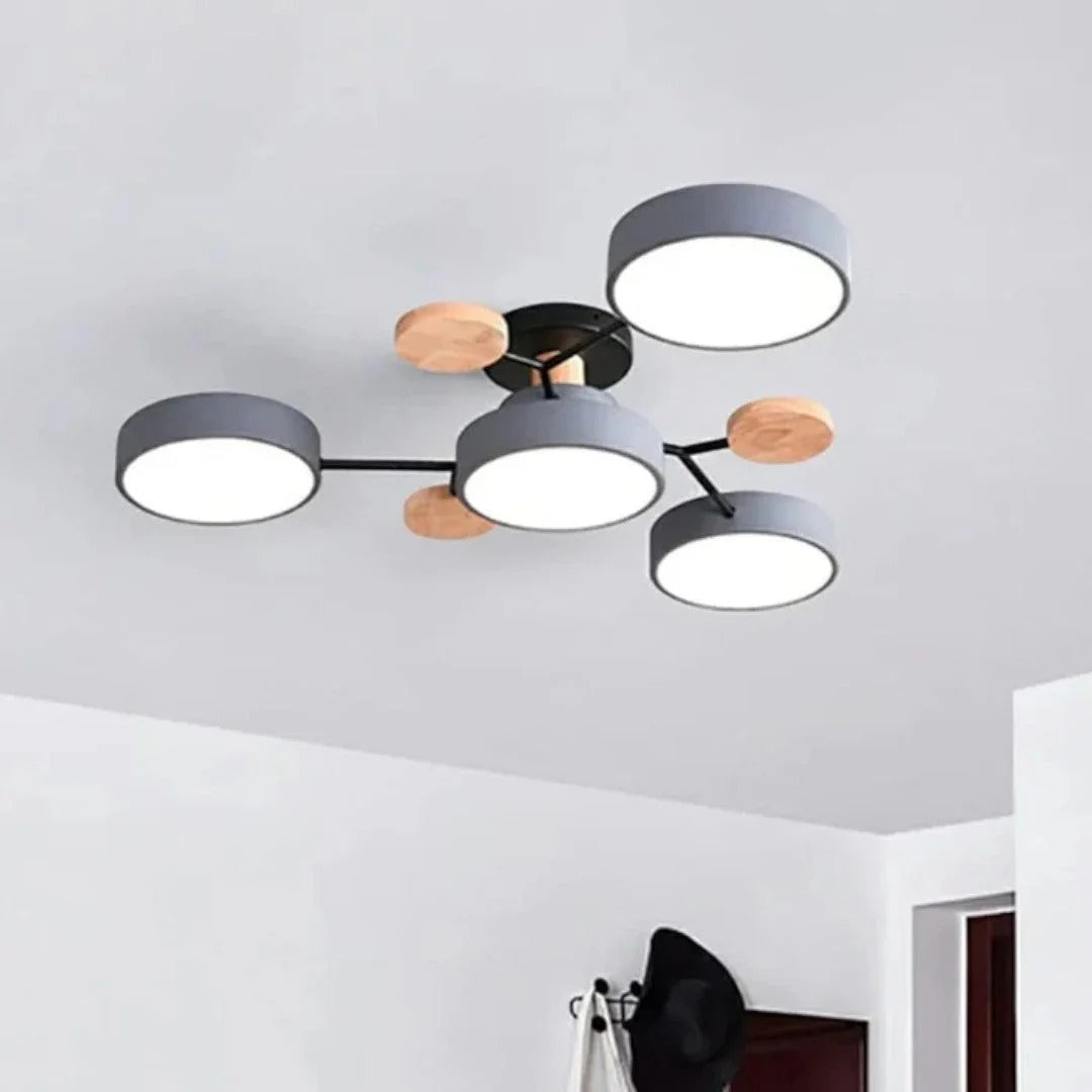 Modern Iron LED Ceiling Light