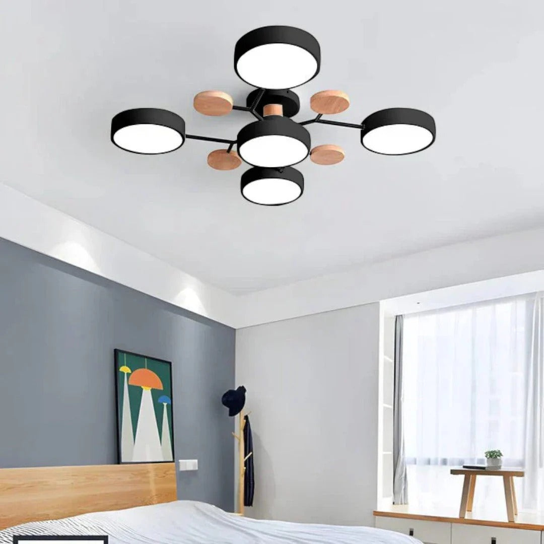 Modern Iron LED Ceiling Light