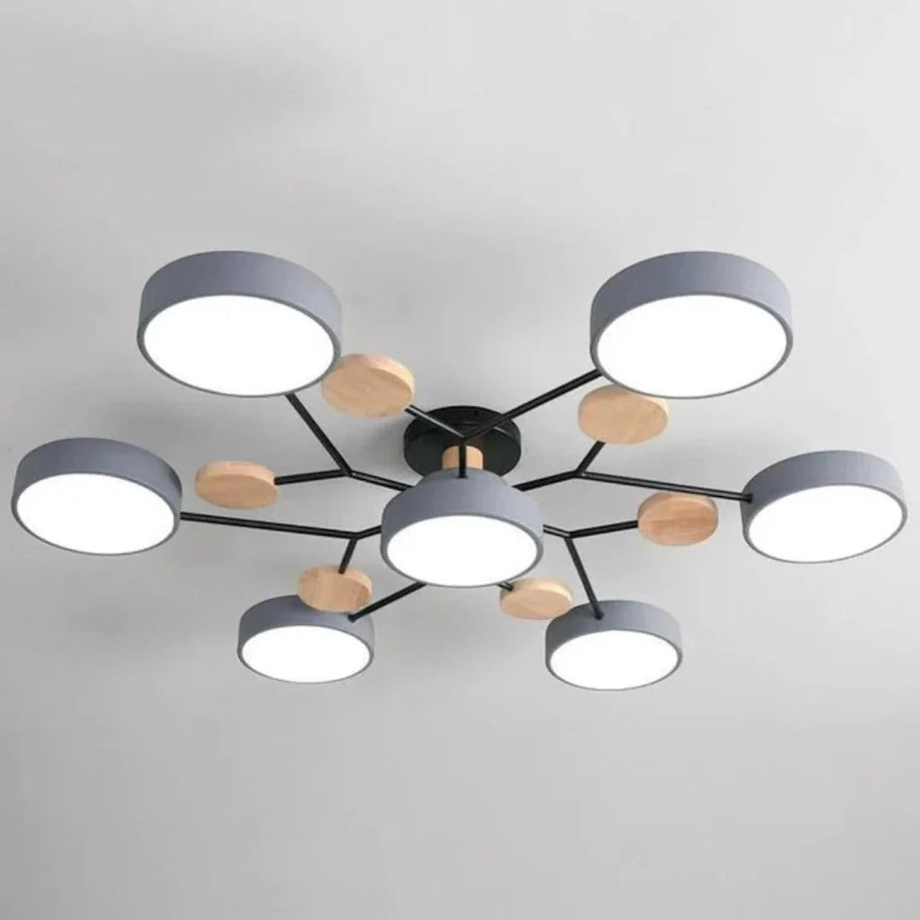 Modern Iron LED Ceiling Light