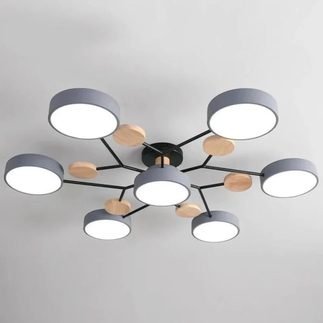 Modern Iron LED Ceiling Light